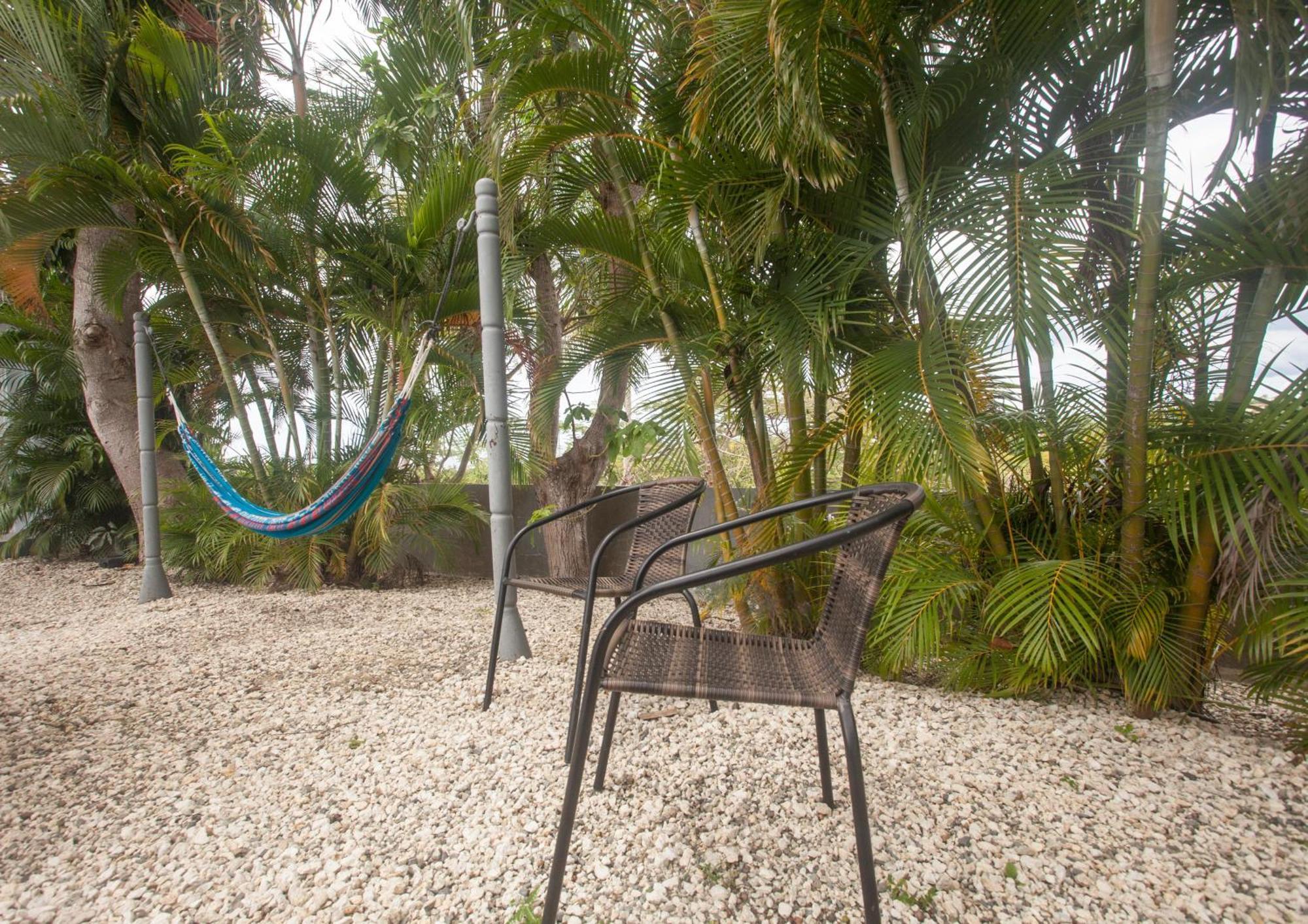 Casa Loba Suite 4 With Private Pool Rincón Eksteriør bilde